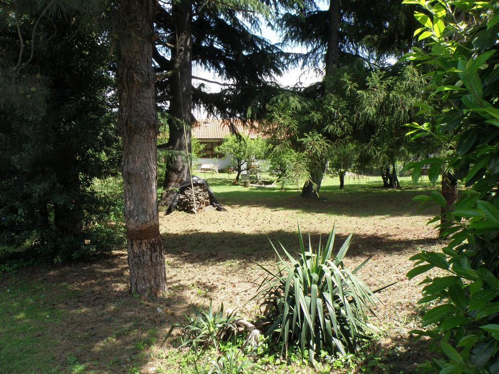 B&B Villa Mirella Casnate Con Bernate Екстериор снимка