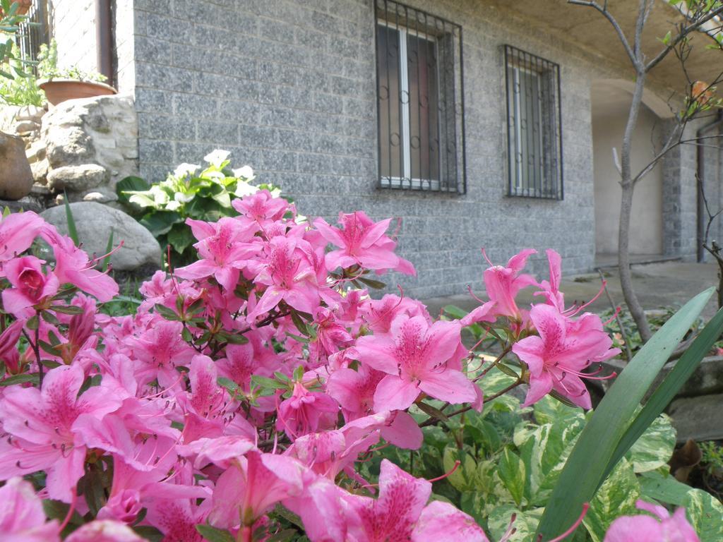 B&B Villa Mirella Casnate Con Bernate Екстериор снимка
