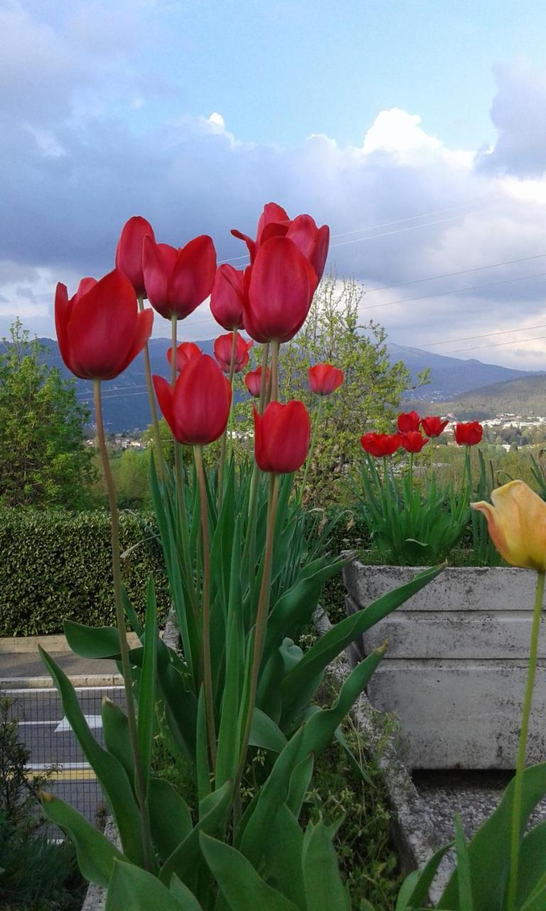 B&B Villa Mirella Casnate Con Bernate Екстериор снимка