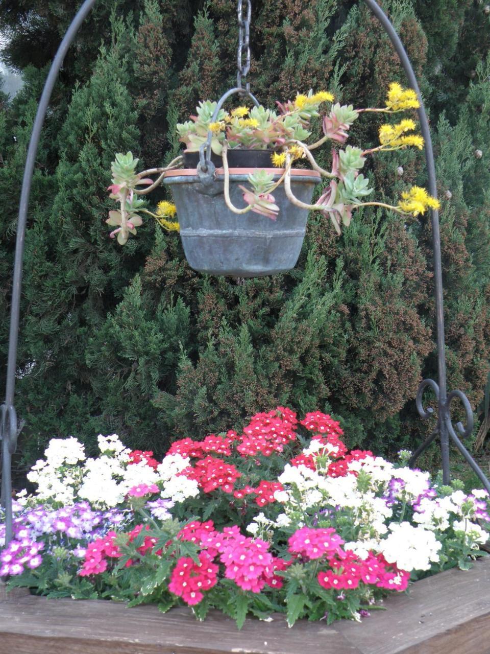 B&B Villa Mirella Casnate Con Bernate Екстериор снимка